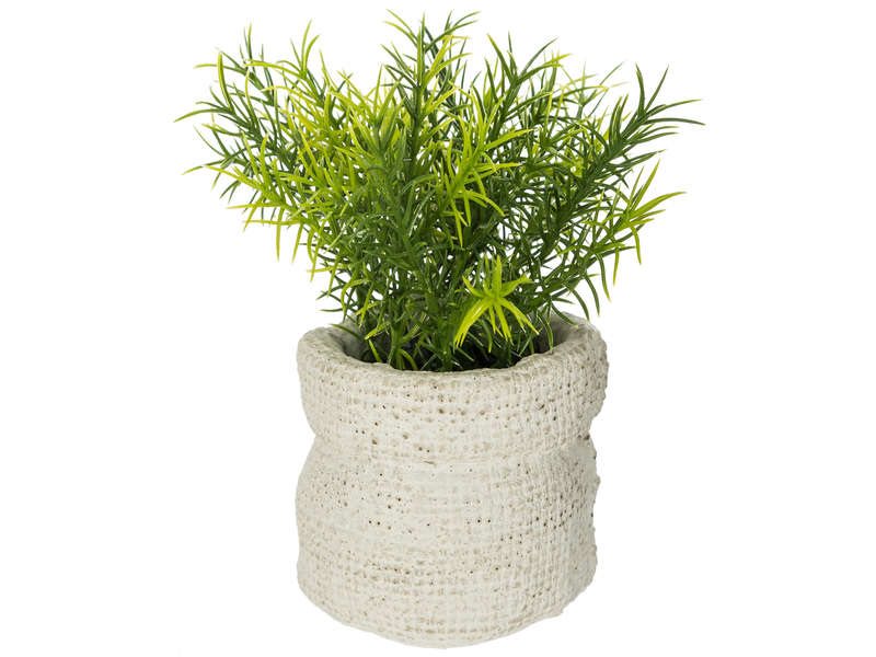 PLANTE VERTE ATMOSPHERA VASE CIM
