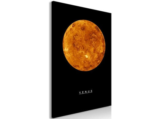 Poster Conforama Venus