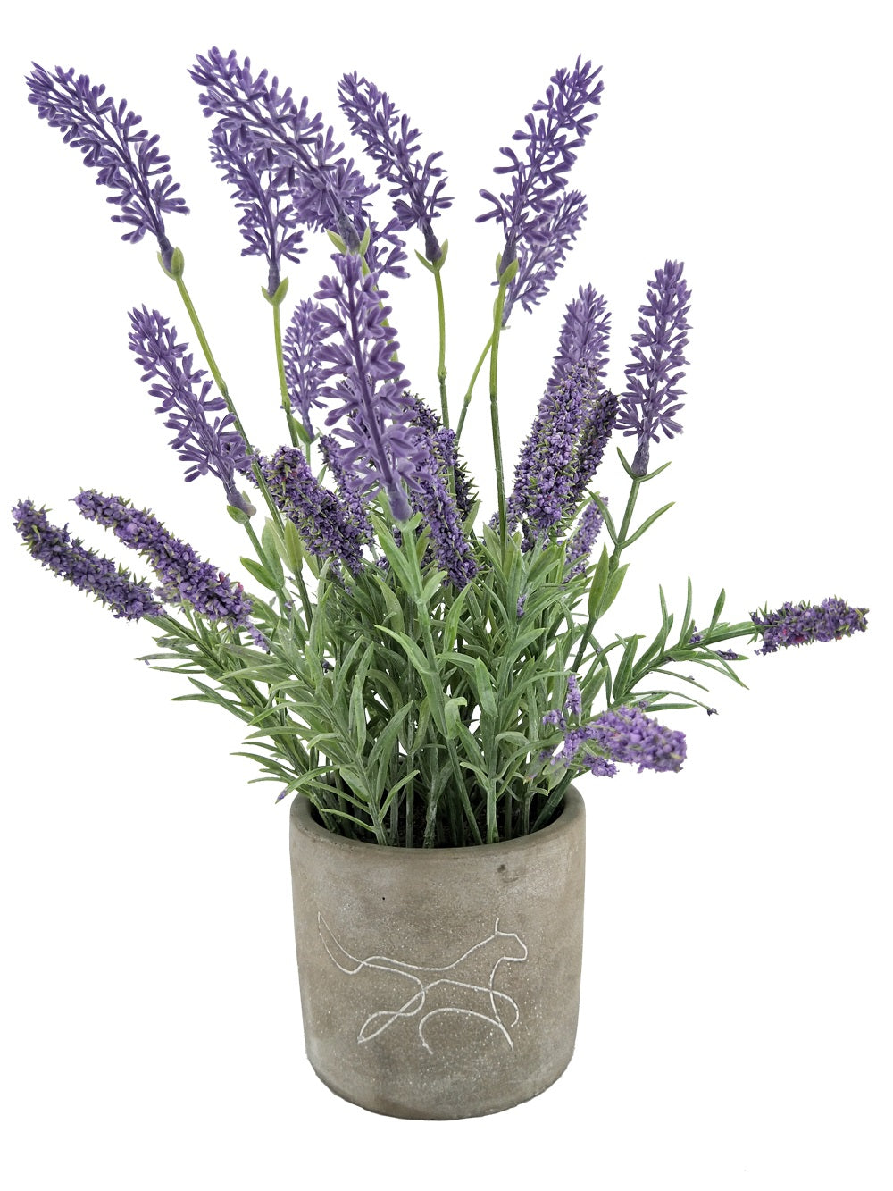 PLANTE NATUR'NEST LAVANDE