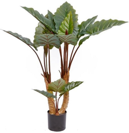 PLANTE NATUR'NEST GROUPER RAINDOW