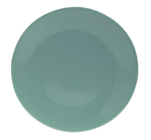 ASSIETTE PLATE VERT CONFORAMA